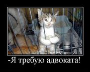 Адвокат. Юридические услуги. 067 410-20-42