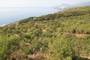 Продам землю в Алуште