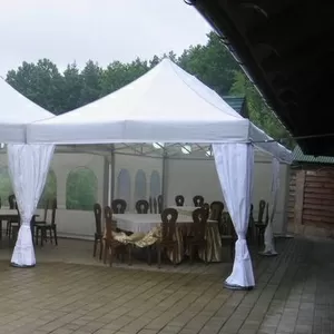 Аренда  VIP- шатров.