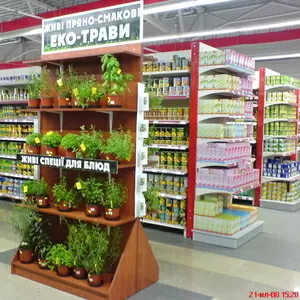 Бизнес на выращивании эко-трав. Пряности.