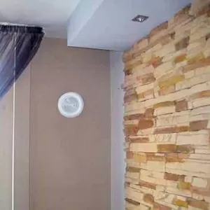 Черная плесень, грибок на стенах, сырость в квартире? Как бороться?