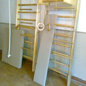 Детские спортивные комплексы и уголки Лесенка