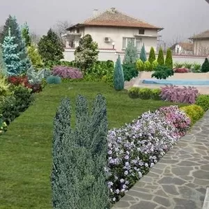 Ландшафтный дизайнер с бригадой.