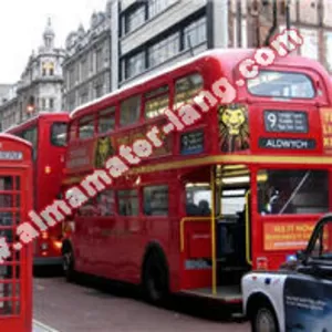 Изучение иностранных языков c Альма Матер