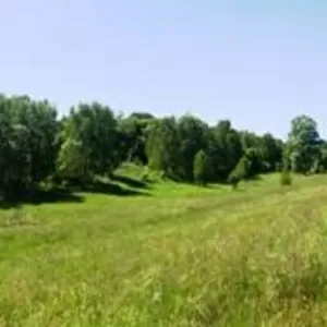 Продам земельный участок в Подгорцах от 12 соток до 36