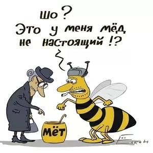 Мёд натуральный продам оптом