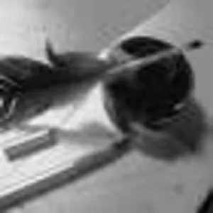 Стихи на заказ! Поздравления к любому празднику! Качественно,  оригинал