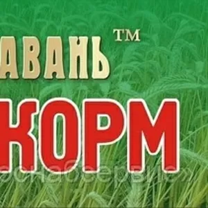 Комбикорм и БМВД ТД  