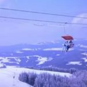 тур буковель на новый год,  буковель автобус из киева,  отдых буковели