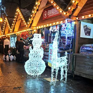 новый год во львове,  туры львов из киева,  экскурсии львов недорого