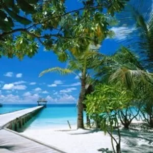 Лучший отдых на Мальдивах!!! 2668 $/чел