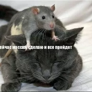 антицеллюлитный массаж,  депиляция,  с выездом на дом