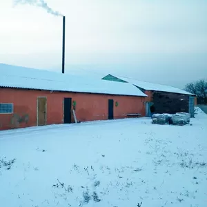 Продается завод по выращиванию грибов вешенка