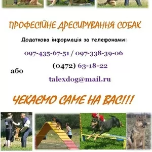 Лучшая Профессиональная Дрессировка собак в Черкассах!