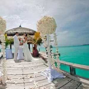 Профессиональные видеоуслуги.