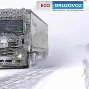 Грузоперевозки :экономно и надежно по Украине и СНГ