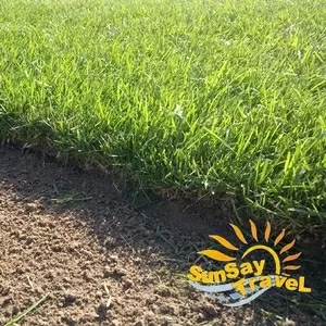 Натуральный рулонный газон