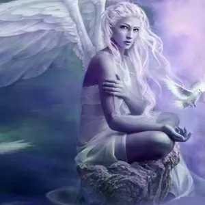 услуги мага,  таролога,  рунолога,  астролога