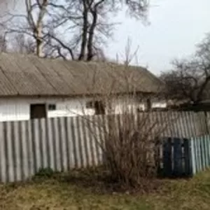 Дача, земельный участок