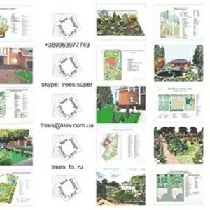 Чертежник ландшафтных проектов.