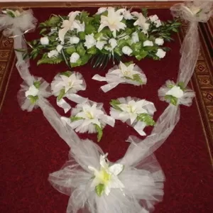 сдаю  на прокат