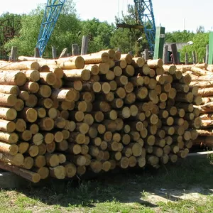 Рудстойка (стойка рудничная),  руддолготьё,  пропсы