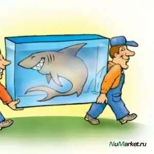 УСЛУГИ ОПЫТНЫХ ГРУЗЧИКОВ В ЗАПОРОЖЬЕ