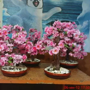 Искусственные деревья бонсай. Сосна,  лиственные,  бисерные