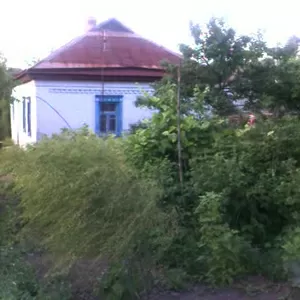 Дом в пгт Великая Багачка Полтавской обл.