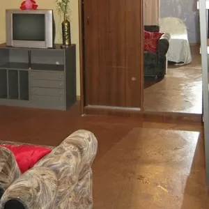 1 комнатная просторная квартира в центре посуточно,  парковка