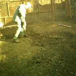 Вырубка участка Выкорчевка деревьев пней зарослей