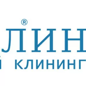 Химчистка ковровых покрытий