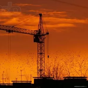 Продам кирпич силикат недорого