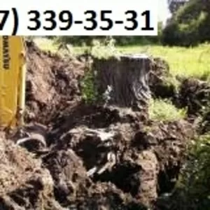 Расчистка участков,  корчевание пей. Спил деревьев Киев. 