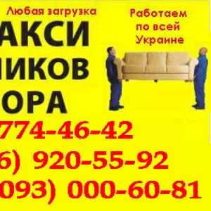 ГРУЗОПЕРЕВОЗКи Животных Сумы. Перевозка животные в клетках в Сумы