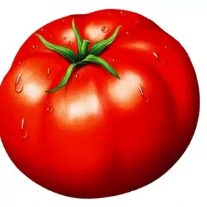 Семена томатов (помидор)