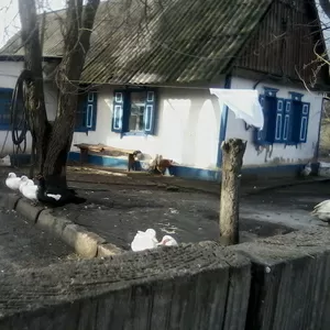 Продам участок 24, 4 сотки. Береговая зона реки Днепр в с. Никольское на Днепре