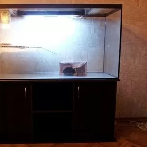 Продам террариум - аквариум 