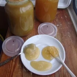 Продам мед оптом в Хмельницком