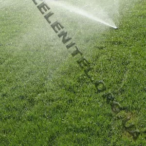 Автоматический полив и капельное орошение.