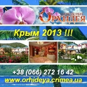 Недорогой отдых 2013 Берег Черного моря пт Орхидея