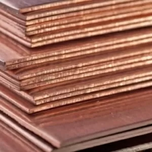 Медный лист в Крыму.