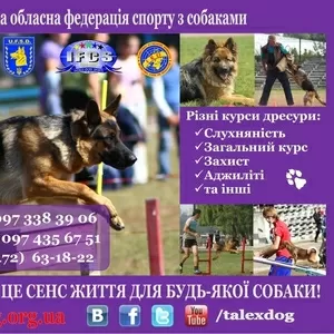 ДРЕССИРОВКА СОБАК В ЧЕРКАССАХ!