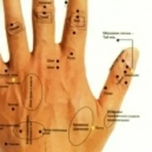 Полная диагностика всего организма по методу акупунктуры