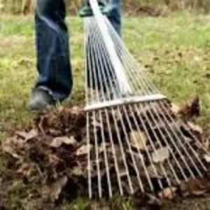 Удаление деревьев,  расчистка участка,  вырубка кустарников