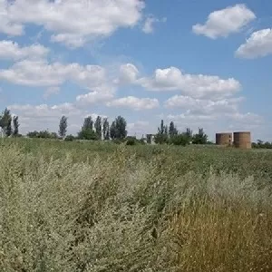 Участок под застройку в пгт. Пески.