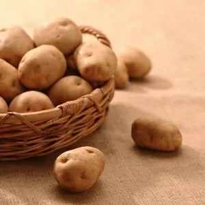 Продам картофель оптом.