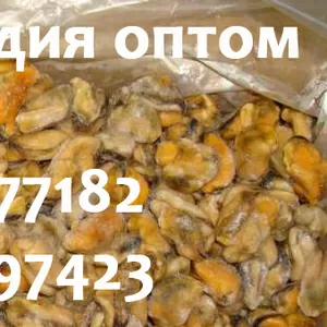 Рапан и мидия оптом