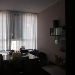 Сдам офис 49 кв.м. 