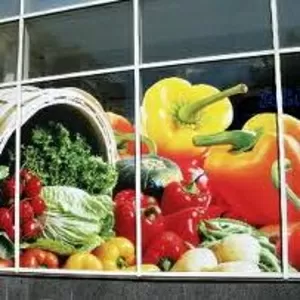 Печать на самоклейке от 50 грн. м/кв